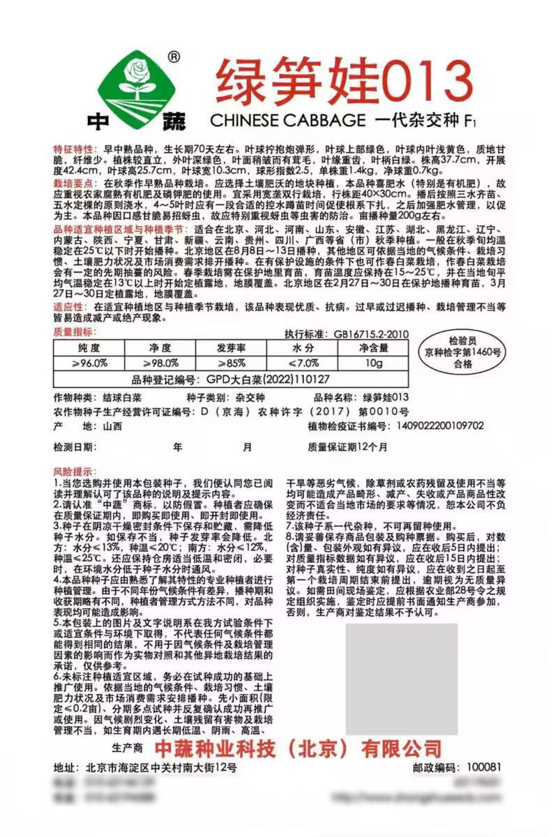 绿笋娃龙牙白菜种子