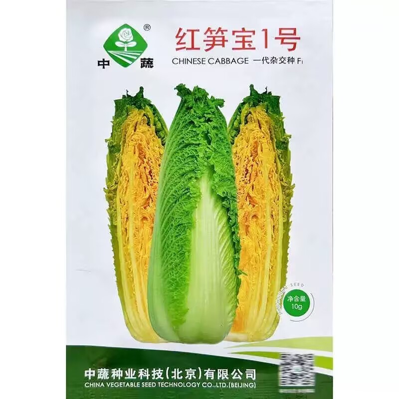 红笋宝1号龙牙白菜种子