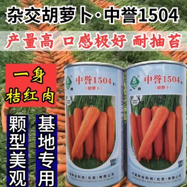 中誉1504杂交胡萝卜种子耐热耐抽苔三红桔红春秋胡萝卜种