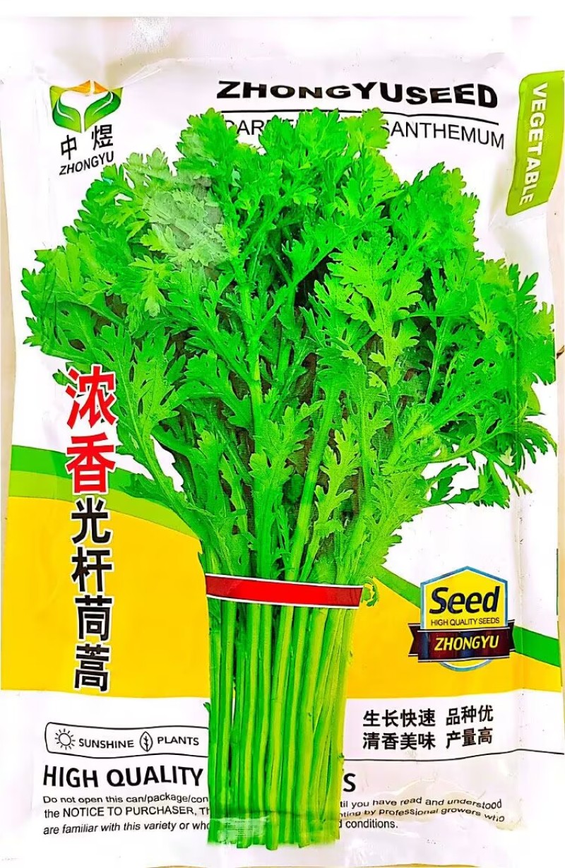 浓香光杆茼蒿种子基地专用生长快速清香美味高产四季种