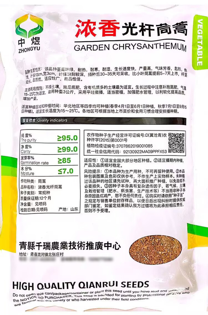 浓香光杆茼蒿种子基地专用生长快速清香美味高产四季种