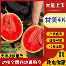 会宁甘美4K西瓜，产地直发，现货供应，欢迎致电咨询