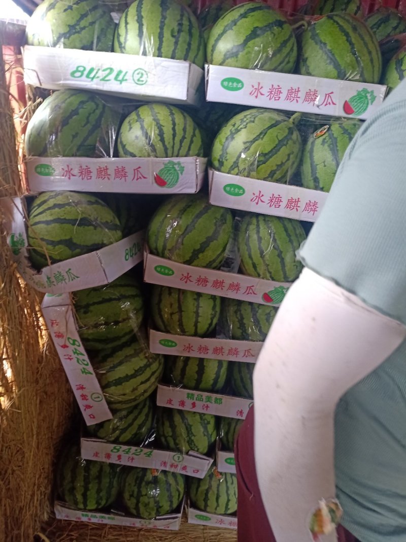 美都西瓜精品西瓜品质保障几十万斤价格美丽先到先得