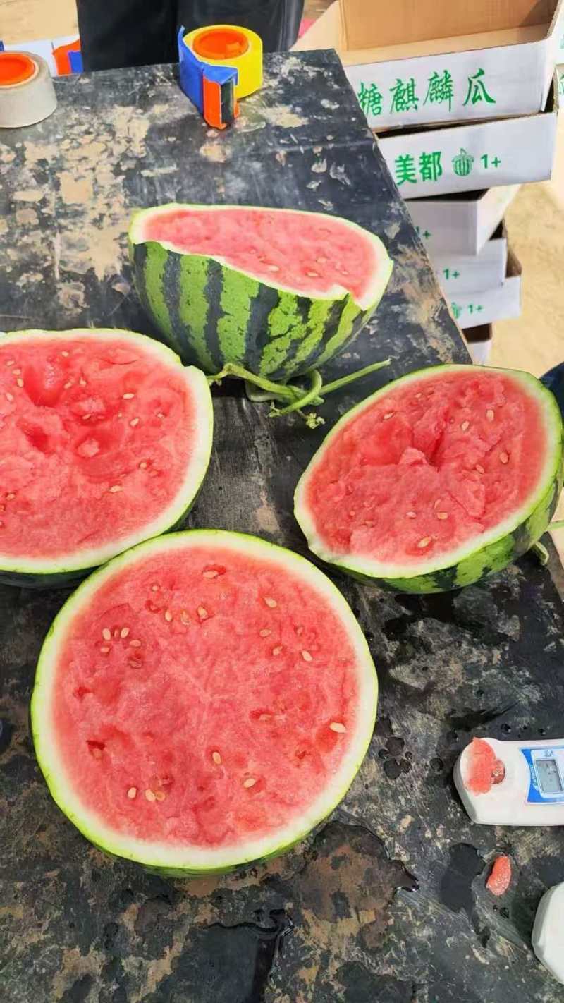美都西瓜精品西瓜品质保障几十万斤价格美丽先到先得