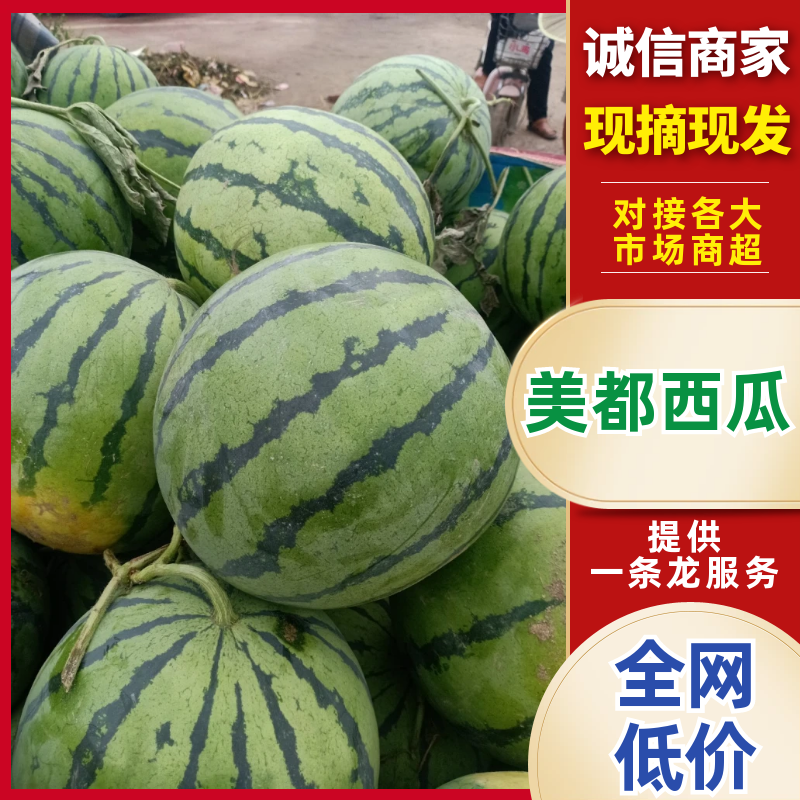 美都西瓜精品西瓜品质保障几十万斤价格美丽先到先得