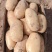荷兰十五号土豆精品土豆🥔量大从优可对接全国各地客商等