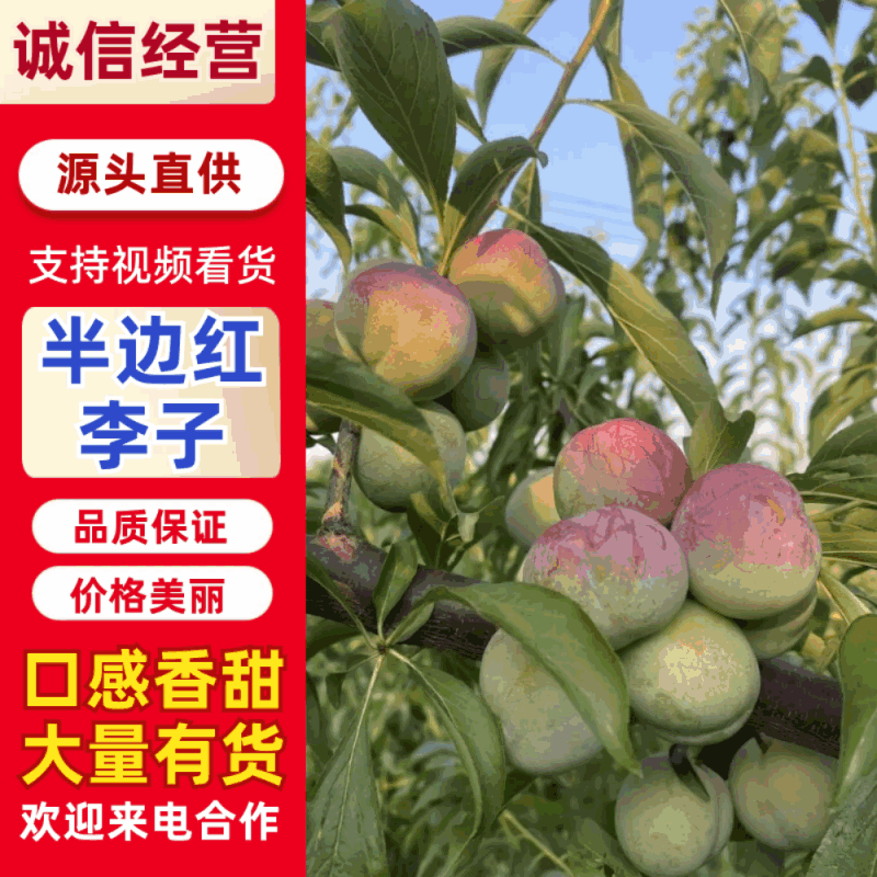 半边红，口感独特，脆甜，脱骨，需要的联系