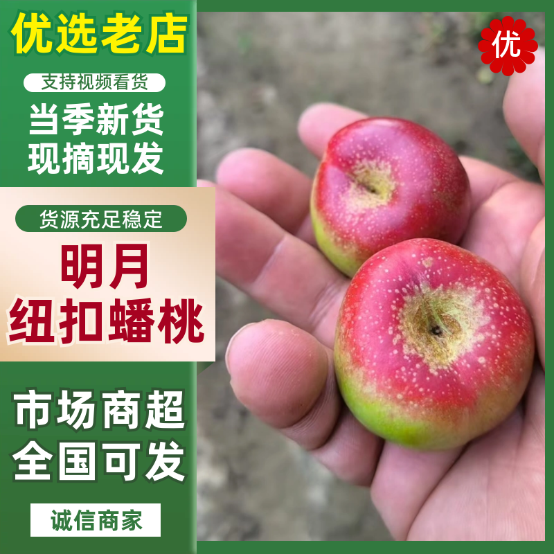 36杠3蟠桃品质保证服务周到产地直发价格美丽欢迎