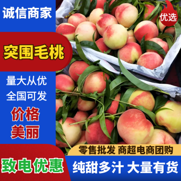 广西毛桃/突围毛桃，又脆又甜/产地直发/全国代办代发