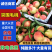 广西毛桃/突围毛桃，又脆又甜/产地直发/全国代办代发