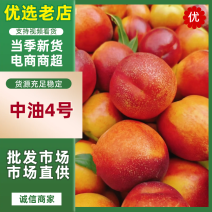 【优选】山东中油4号油桃大量上市对接商超团购电商一条龙服