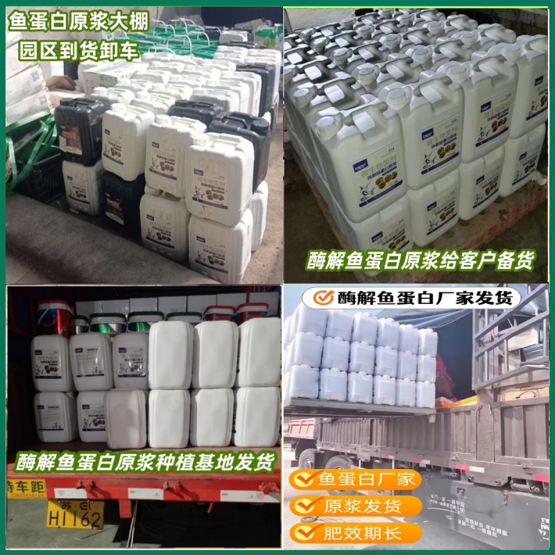 【正品原厂】酶解鱼蛋白原浆膨果上色生根养地厂家