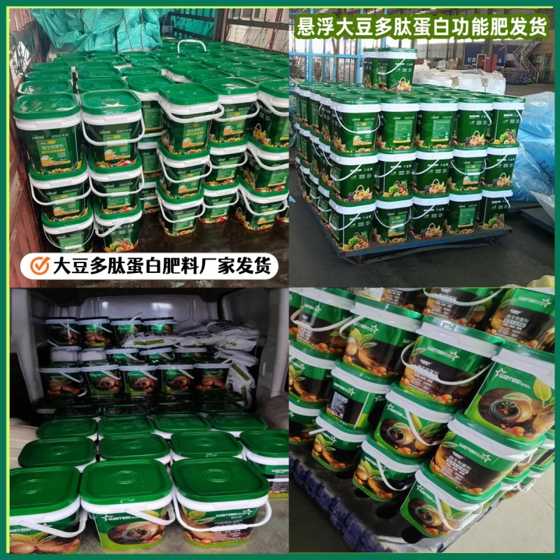 悬浮大豆多肽蛋白功能肥水溶性膨果上色生根养地
