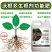 【正品原厂】沃根多生根微生物菌剂调理土壤防根腐
