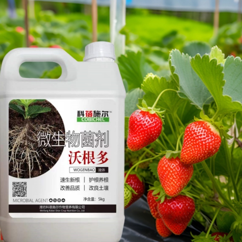 【正品原厂】沃根多生根微生物菌剂调理土壤防根腐