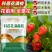 【正品】科蓓花满藤枝硼肥促花果水溶性叶面肥料花多果亮