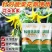 【正品】科蓓花满藤枝硼肥促花果水溶性叶面肥料花多果亮