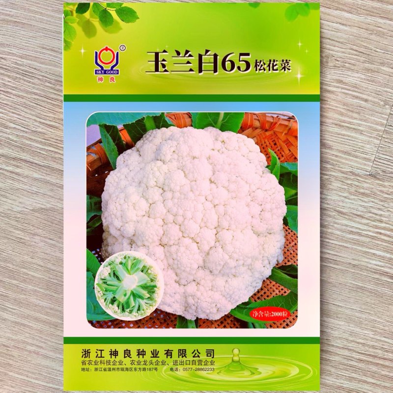 玉兰白65松花菜种子早熟耐热高产花球洁白青梗散花椰菜种子