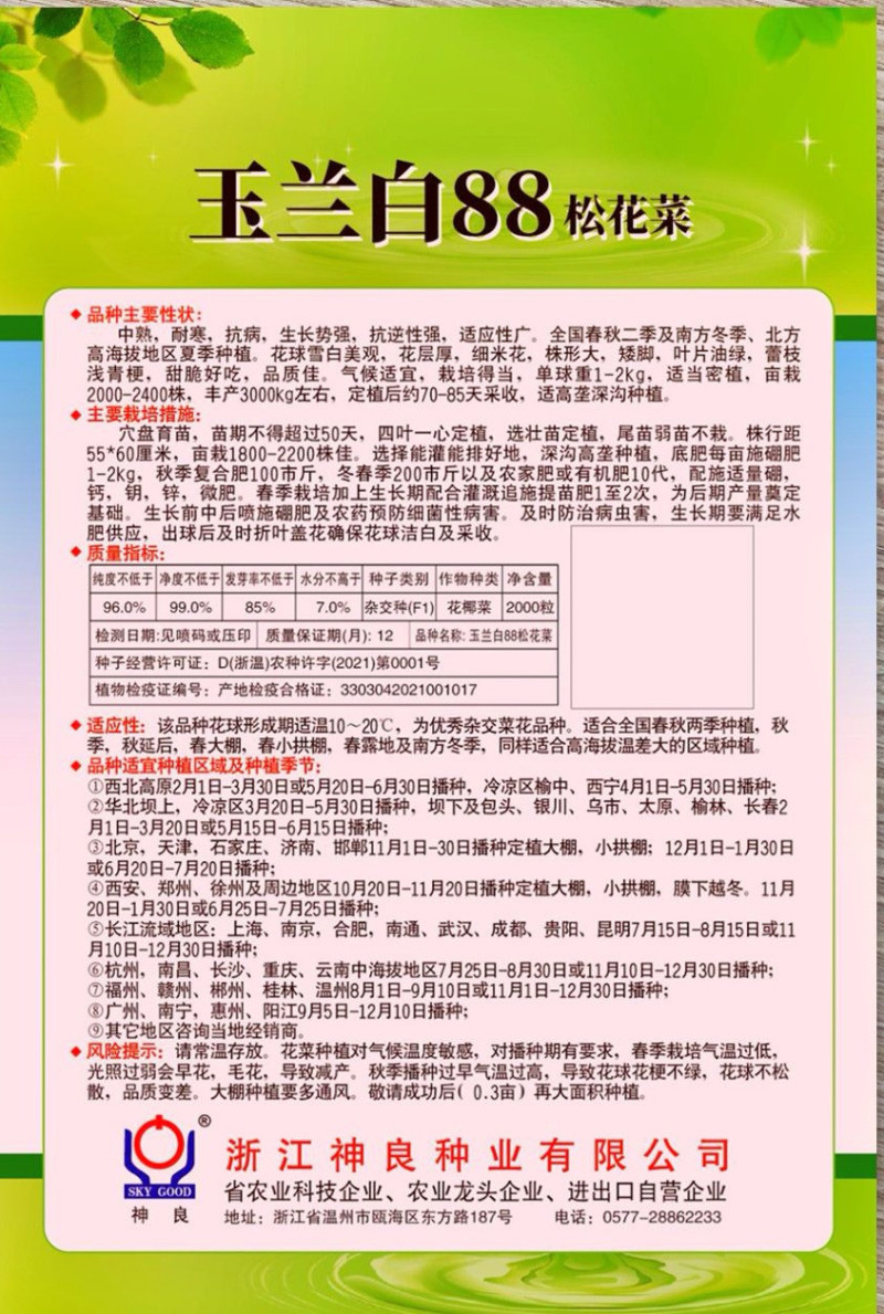 玉兰白88松花菜种子矮脚88晚熟耐寒青梗小米粒花椰菜种籽