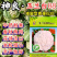 玉兰白88松花菜种子矮脚88晚熟耐寒青梗小米粒花椰菜种籽