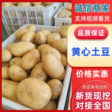 汉中沃土5号产地直发，对接全国一条龙服务量大从优。
