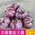 云南紫皮蒜新货干蒜基地直发全国供应可视频看货