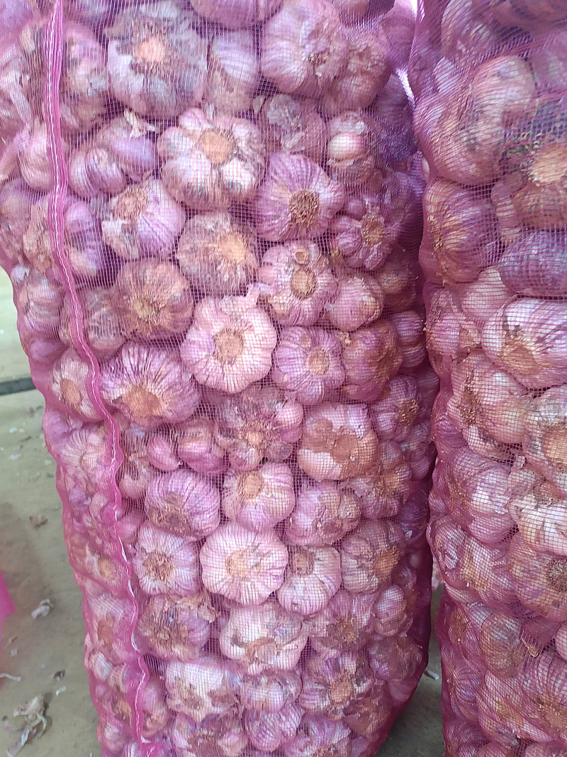 云南紫皮蒜新货干蒜基地直发全国供应可视频看货