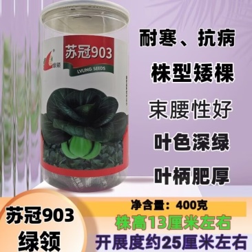 苏冠903矮脚耐寒黑叶苏州青种子太湖菜深绿抗病束腰四季播