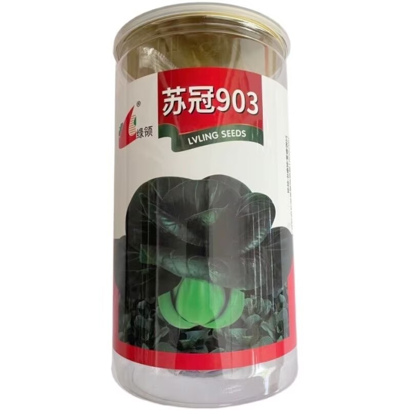 苏冠903矮脚耐寒黑叶苏州青种子太湖菜深绿抗病束腰四季播