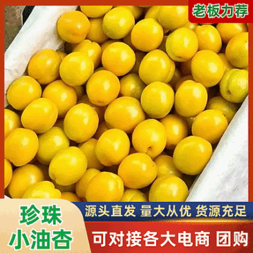 油杏/小白杏【一件代发】新鲜现货速发/电商～团购～代发