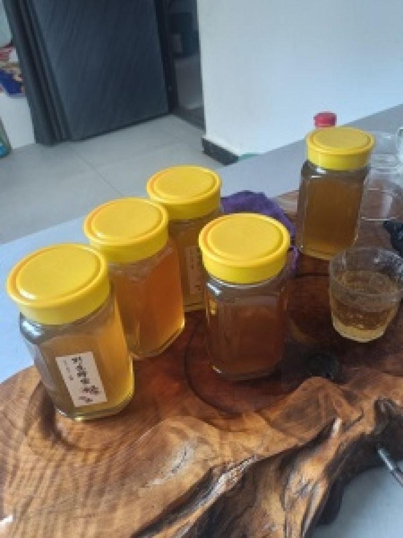 西双版纳农家野生蜂蜜百花蜜自然成熟口感好波美度高全国发