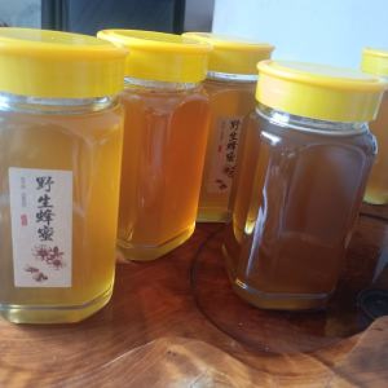 西双版纳农家野生蜂蜜百花蜜自然成熟口感好波美度高全国发