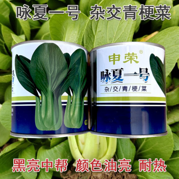 青梗菜种子小白菜咏夏一号耐热100g四季种植基地大田