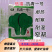 抗青一号上海青种子深绿色小油菜种子耐热耐寒耐湿四季蔬菜种