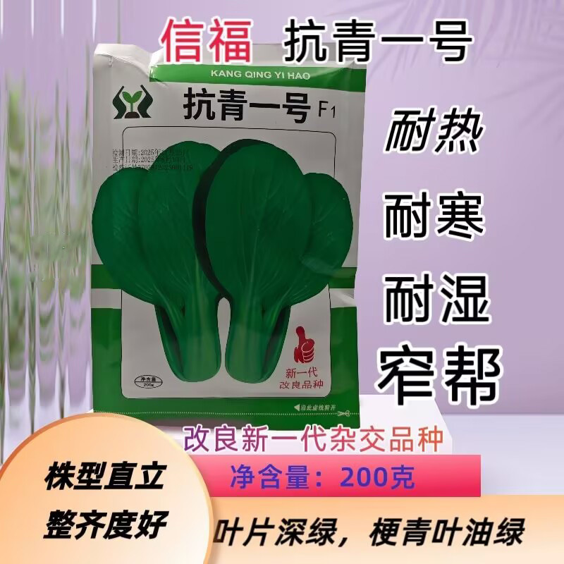 抗青一号上海青种子深绿色小油菜种子耐热耐寒耐湿四季蔬菜种