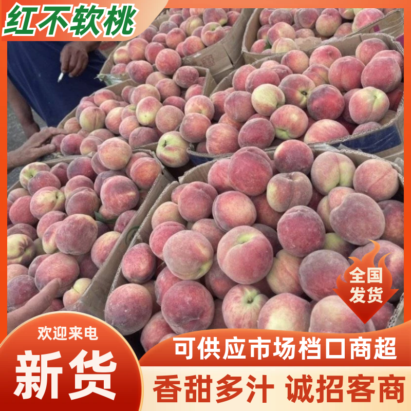 【红不软毛桃】湖北随县产地/现摘现发/规格齐全/代发全国