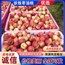 『珍珠枣油桃』湖北随县产地/现摘现发/规格齐全/代发全国