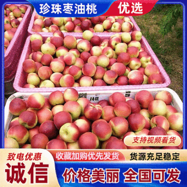 『珍珠枣油桃』湖北随县产地/现摘现发/规格齐全/代发全国