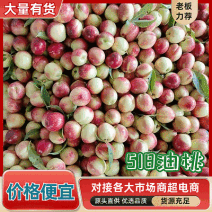 《518油桃》湖北随县产地/现摘现发/规格齐全/代发全国