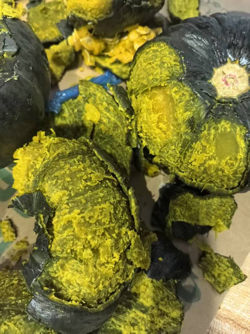 惠和贝贝南瓜大量上市对接超市电商批发市场，可视频看货