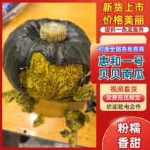 惠和贝贝南瓜大量上市对接超市电商批发市场，可视频看货