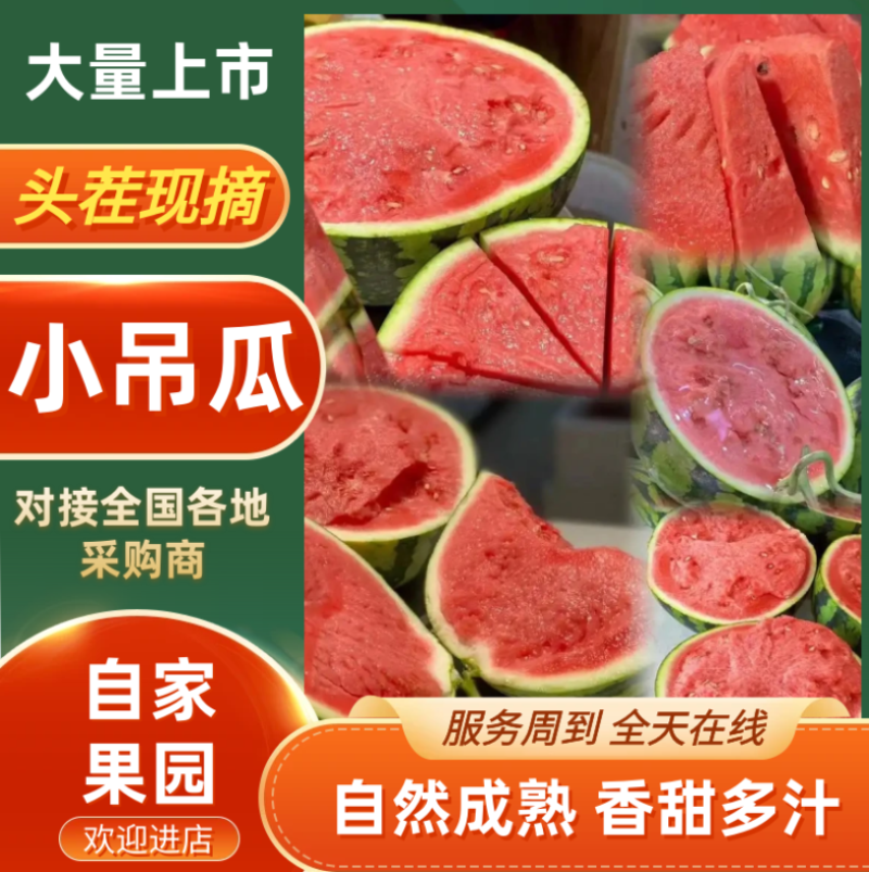 甜王西瓜品种保障价格美丽欢迎老板起来联系