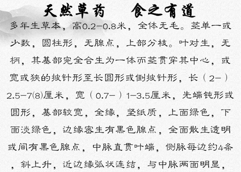 元宝草对月草对经草中药材中草药原料批发