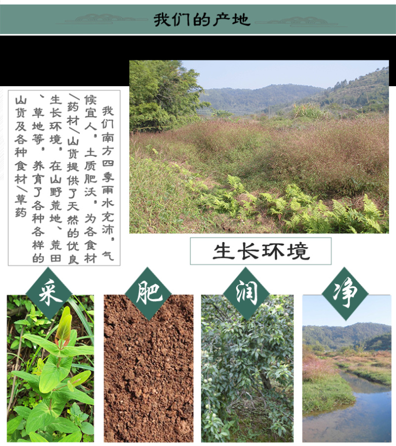 元宝草对月草对经草中药材中草药原料批发