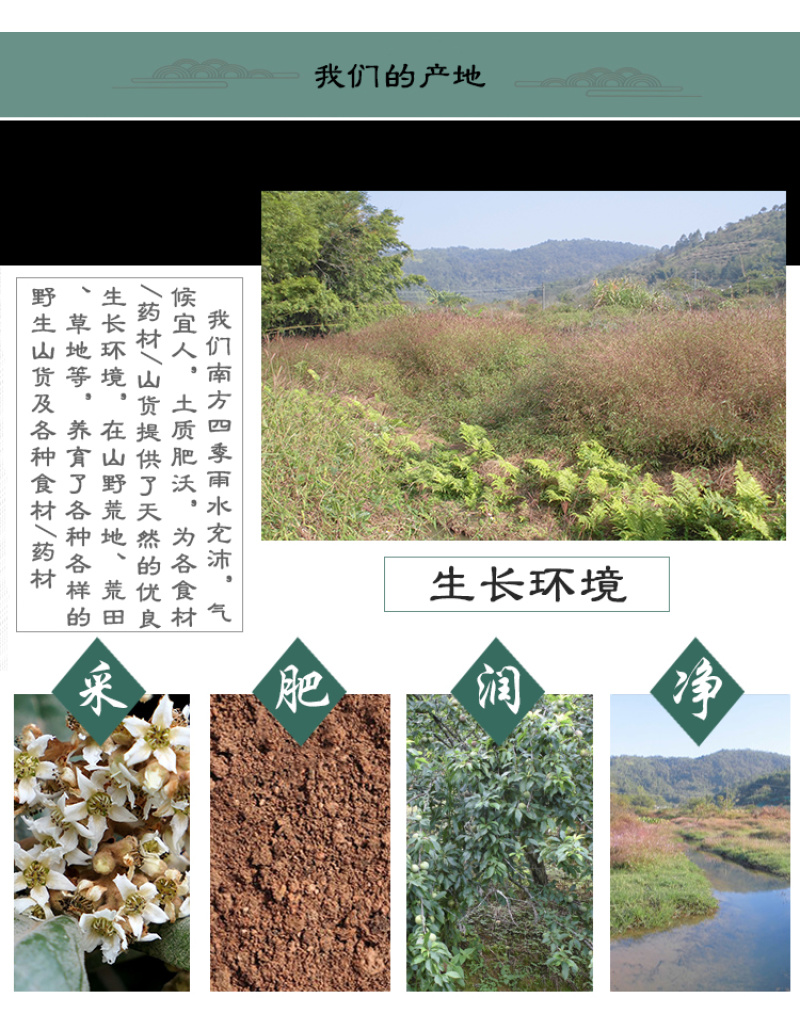 枇杷花中药材中草药原料批发