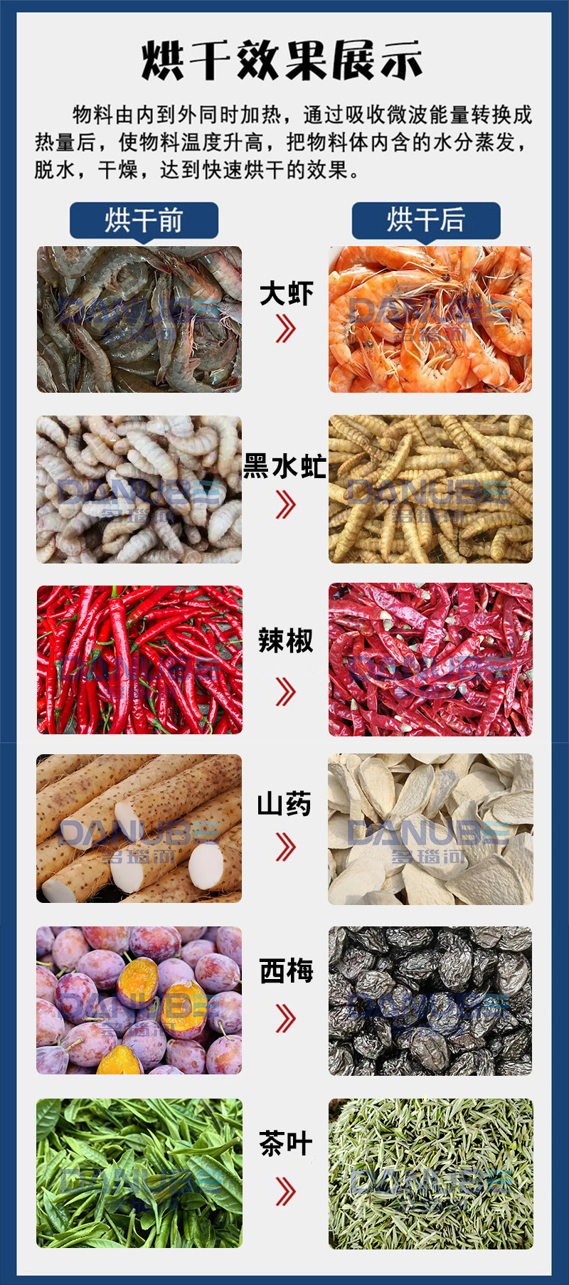 微波海鲜大虾烘干机养殖虾小河虾鱼肉烘烤机鲍鱼贝类杀菌设备