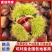 大板板栗,精品板栗，大量新鲜现货速发保质保量欢迎选购