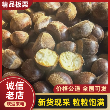 【推荐】河北遵化板栗精品板栗产地直发一手货源大量供应价优
