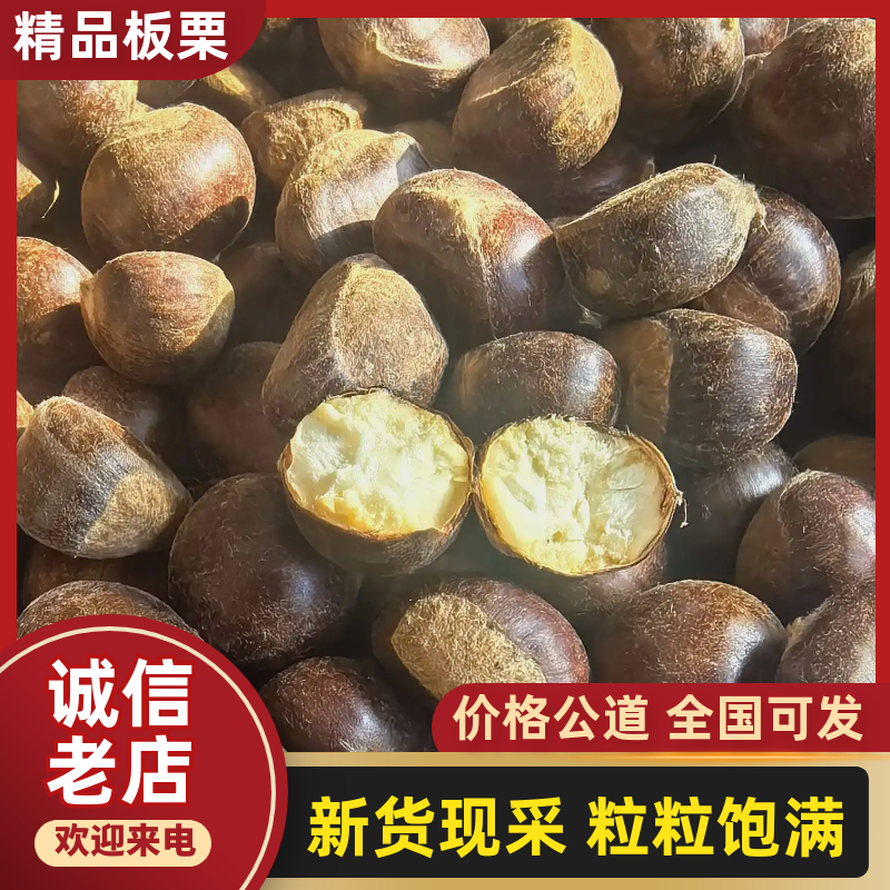 【推荐】河北遵化板栗精品板栗产地直发一手货源大量供应价优
