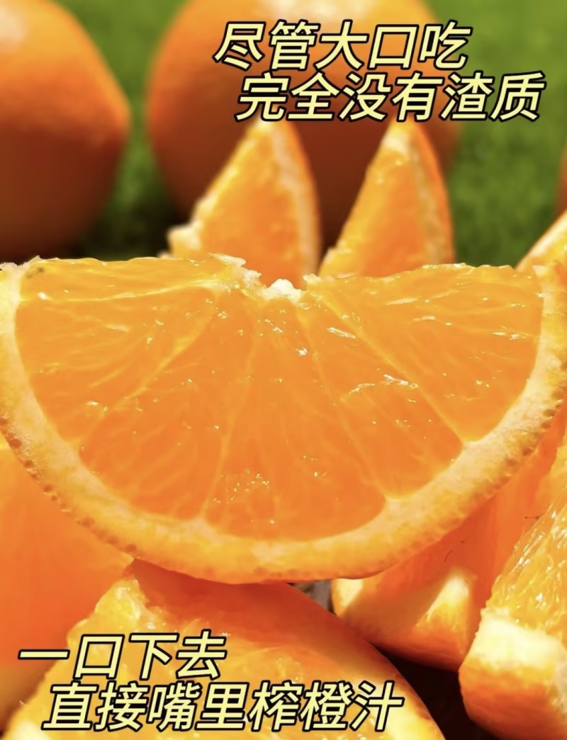 【脐橙】精品脐橙一件可发品质保障可对接全国电商商超市场等